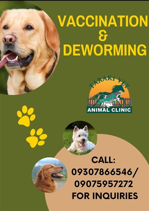veterinary clinic in baguio city|Baguio City Veterinary Office .